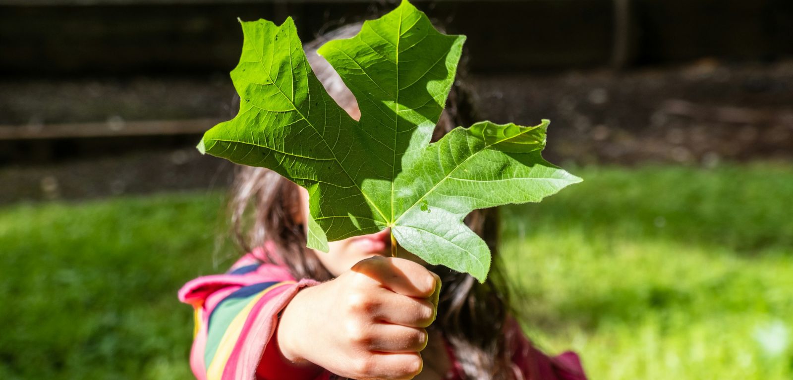Child holding a green leaf